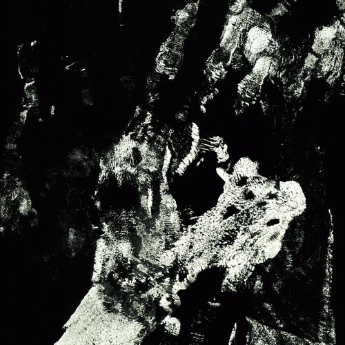 Lizzard : Black Sheep